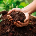 Comment utiliser du compost au jardin pour enrichir vos sols