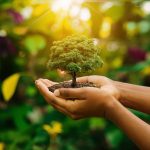Activités développement durable : idées et conseils pour agir au quotidien