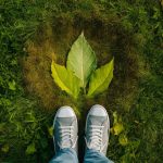 Calculatrice ADEME : comment estimer votre impact environnemental au quotidien