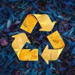 Consigne de tri logo : comment reconnaître les bons symboles de recyclage