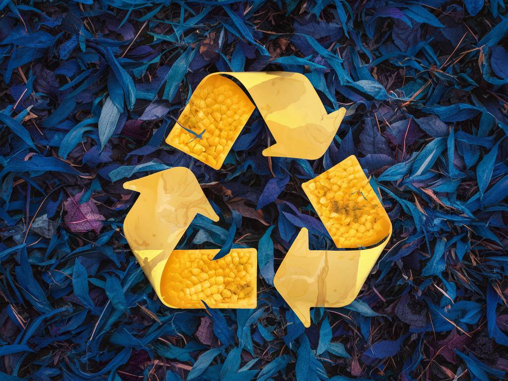 Consigne de tri logo : comment reconnaître les bons symboles de recyclage