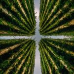 Achats publics responsables : comment intégrer des critères écologiques et sociaux dans vos marchés publics