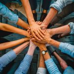 Ateliers développement durable : comment les organiser pour engager vos équipes