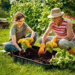 Composte utilisation au jardin : astuces pour bien l’utiliser et réduire ses déchets