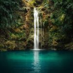 Comment préserver l'eau au quotidien avec des gestes simples et efficaces
