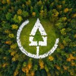Calculer un bilan carbone : méthodes, outils et bonnes pratiques pour mieux agir