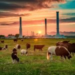 Biogaz méthanisation : comment transformer les déchets en énergie renouvelable
